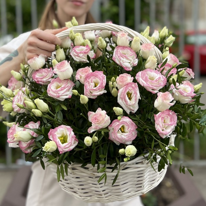 25 махровых бело-розовых эустом в корзине