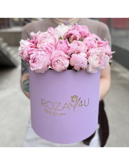 25 пионов Сара Бернар в коробке