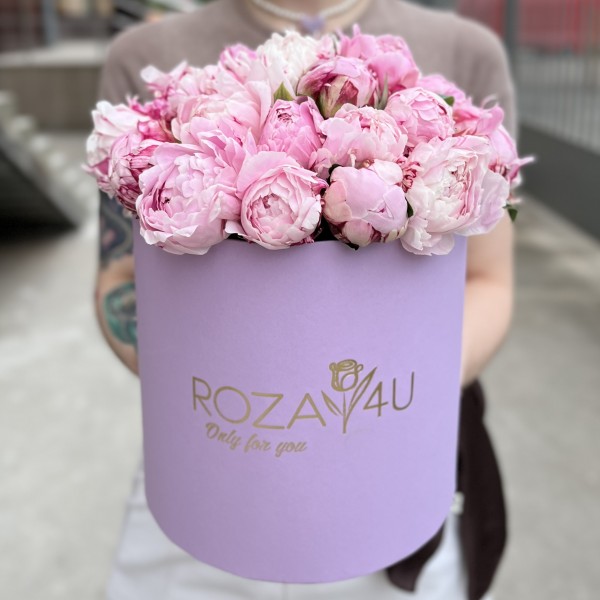 25 пионов Сара Бернар в коробке