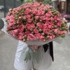 51 кустовая пионовидная Роза Спешел Дайменшн 50см