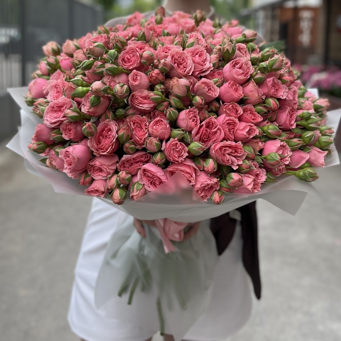 51 кустовая пионовидная Роза Спешел Дайменшн 50см