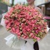 51 кустовая пионовидная Роза Спешел Дайменшн 50см
