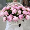51 нежный розовый пион Сара Бернар в корзине