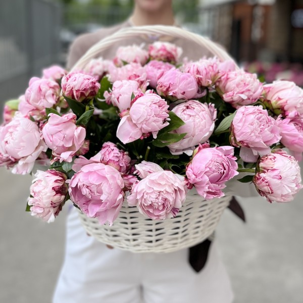 51 нежный розовый пион Сара Бернар в корзине