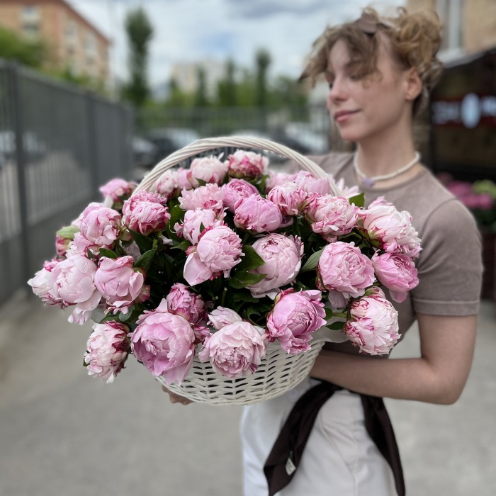 51 нежный розовый пион Сара Бернар в корзине