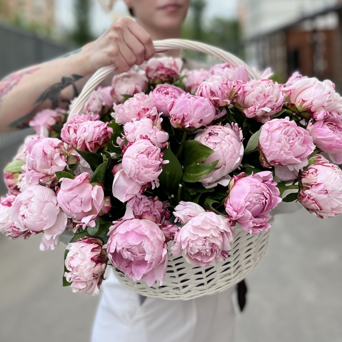 51 нежный розовый пион Сара Бернар в корзине