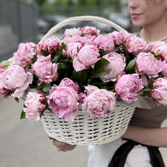 51 нежный розовый пион Сара Бернар в корзине