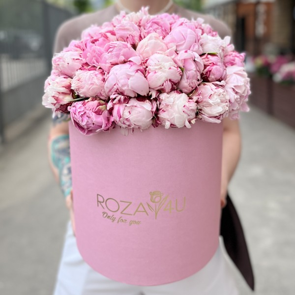 51 розовый пион Сара Бернар в коробке