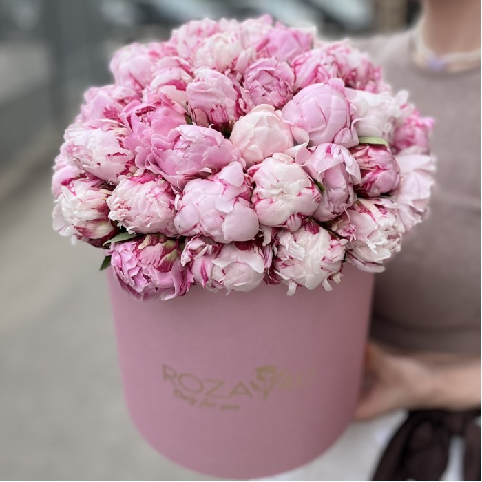 51 розовый пион Сара Бернар в коробке