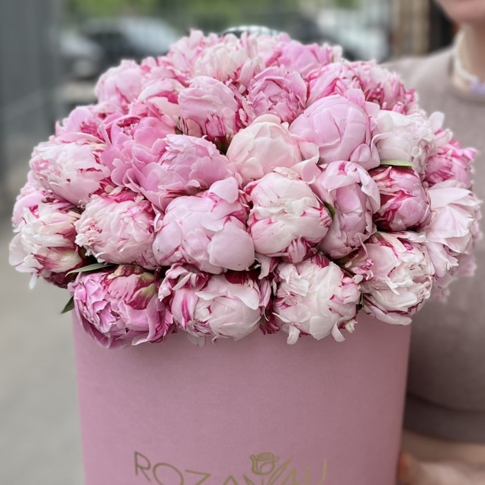 51 розовый пион Сара Бернар в коробке