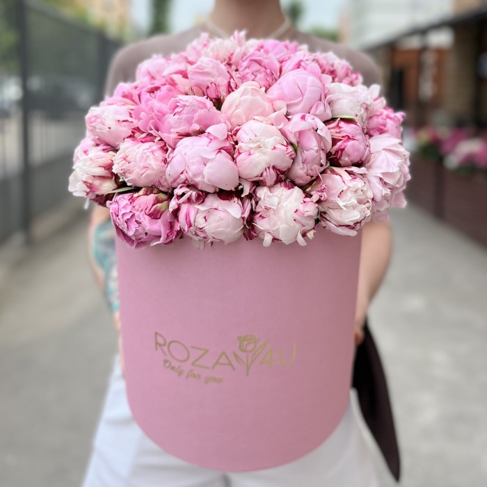 51 розовый пион Сара Бернар в коробке