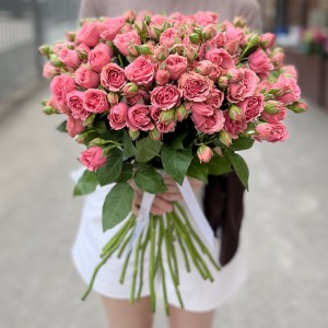 Розовая кустовая пионовидная Роза Спешел Дайменшн 50см