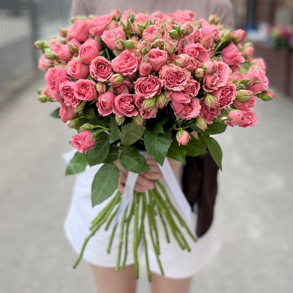 Розовая кустовая пионовидная Роза Спешел Дайменшн 50см