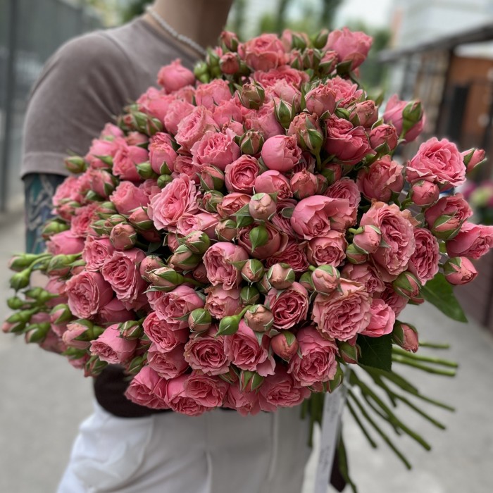 Розовая кустовая пионовидная Роза Спешел Дайменшн 50см