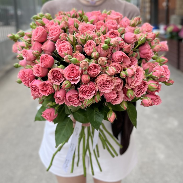 Розовая кустовая пионовидная Роза Спешел Дайменшн 50см