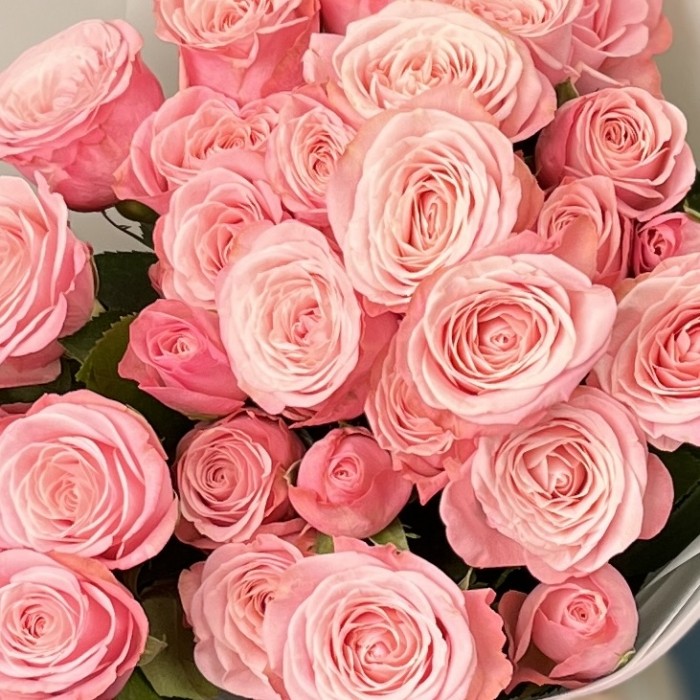 9 розовых кустовых роз Бердс Нест 50 см