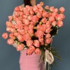 Кораллово-розовая Роза Амэйзинг Мэджик 60 см