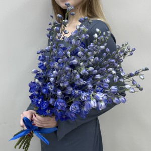 15 синих дельфиниумов
