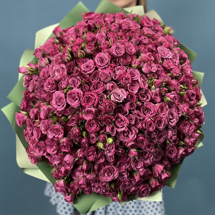 101 кустовая пионовидная роза пурпл Куинс 40 см