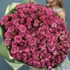 101 кустовая Роза пурпл Куинс 50 см