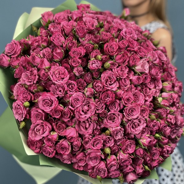 101 кустовая пионовидная роза пурпл Куинс 40 см