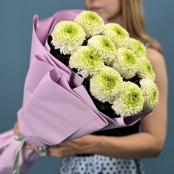 11 бело-зеленых хризантем Помпон