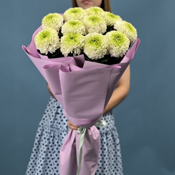 11 бело-зеленых хризантем Помпон
