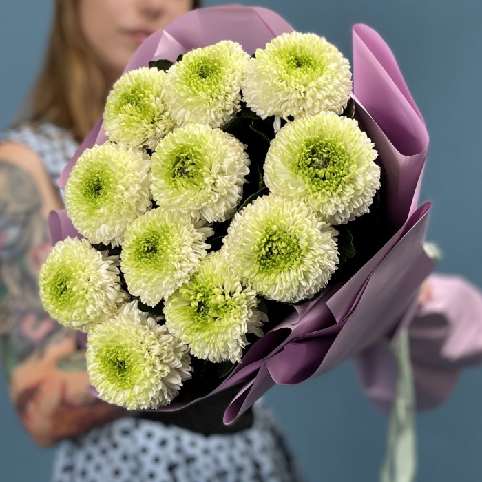 11 бело-зеленых хризантем Помпон