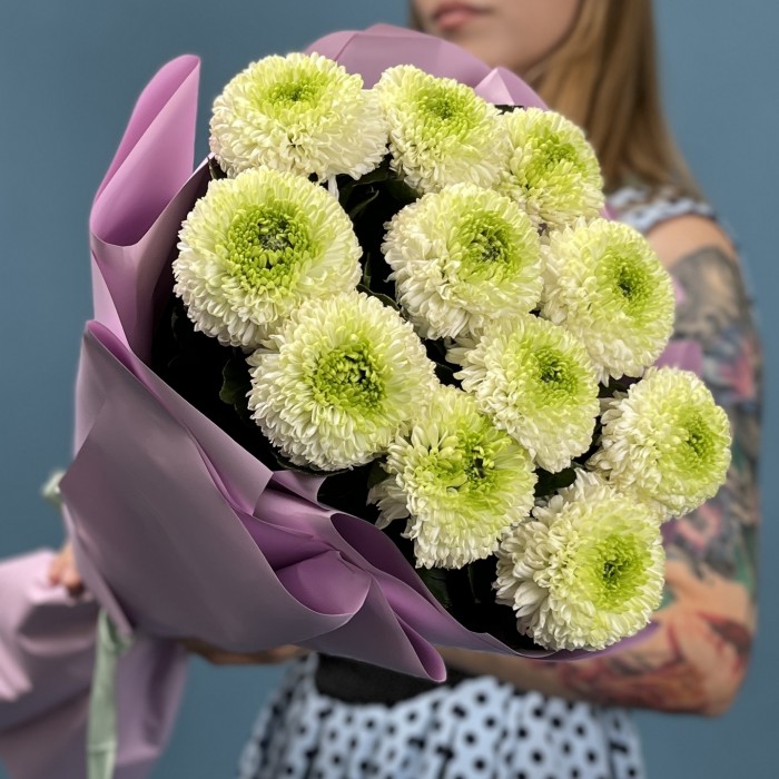 11 бело-зеленых хризантем Помпон