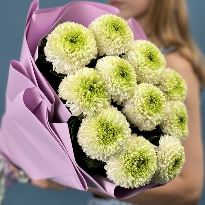 11 бело-зеленых хризантем Помпон