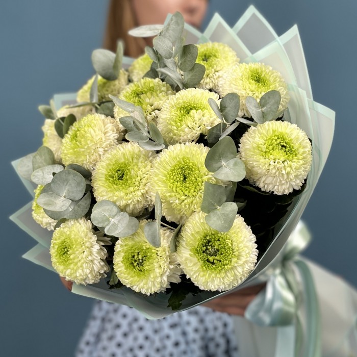 15 бело-зеленых хризантем помпон с эвкалиптом