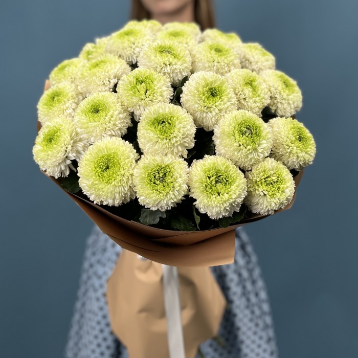25 бело-зеленых хризантем помпон