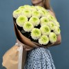 25 бело-зеленых хризантем помпон