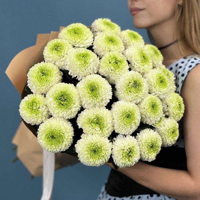 25 бело-зеленых хризантем помпон