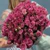 25 кустовых пионовидных роз Пурпл Куин 40 см