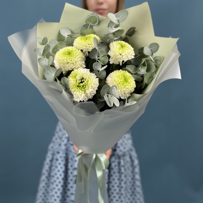 5 бело-зеленых хризантем помпон с эвкалиптом