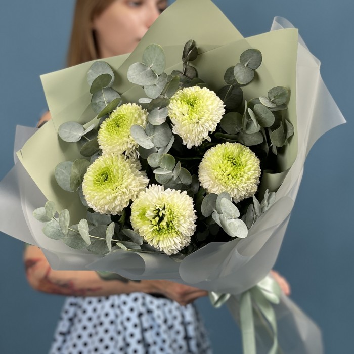 5 бело-зеленых хризантем помпон с эвкалиптом