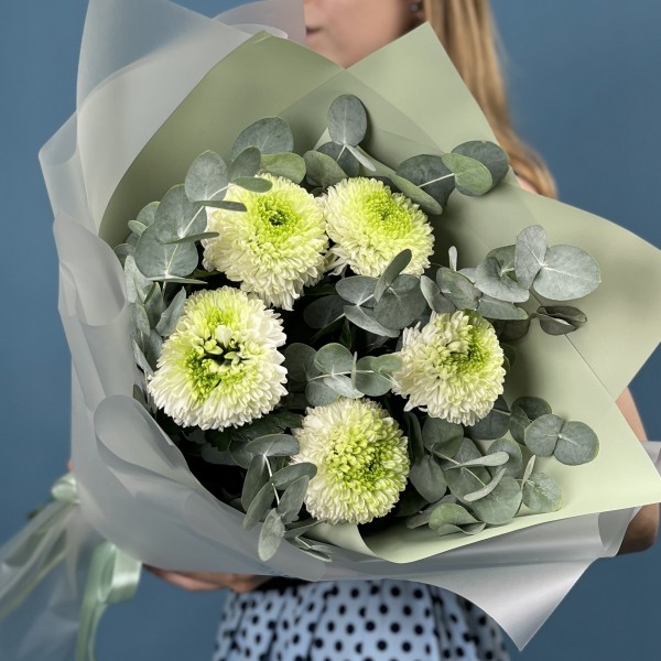 5 бело-зеленых хризантем помпон с эвкалиптом