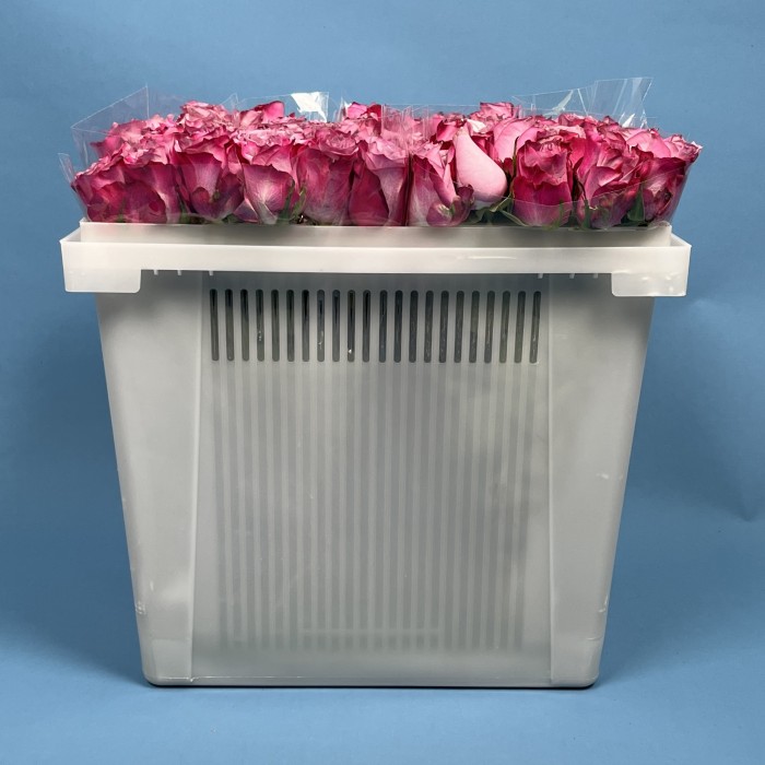 Роза 40 см Сиренево-малиновая Дип Перпл