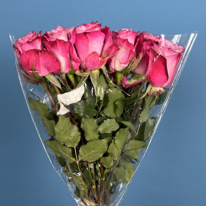 Роза 40 см Сиренево-малиновая Дип Перпл