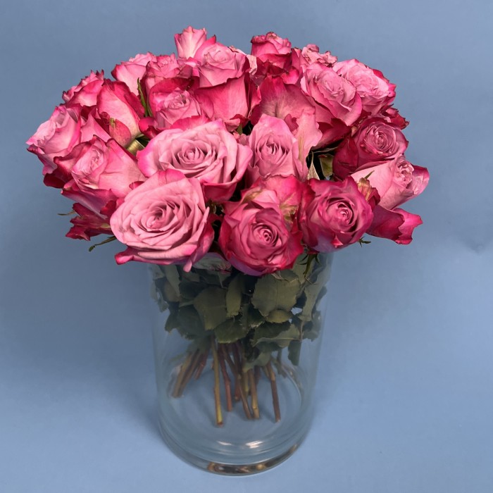 Роза 40 см Сиренево-малиновая Дип Перпл