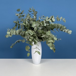 7 веток ароматного эвкалипта в вазе 7 веток ароматного эвкалипта в вазе