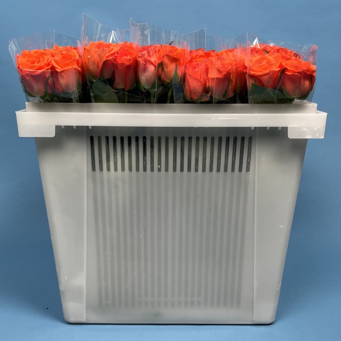 Роза 40 см оранжевая Копакабана