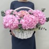 7 розовых гортензий с эвкалиптом в корзине
