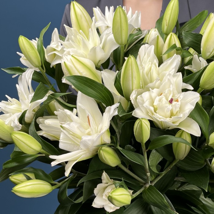 Лилия пионовидная белая