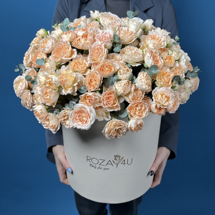 51 кустовая пионовидная роза Минеола в коробке