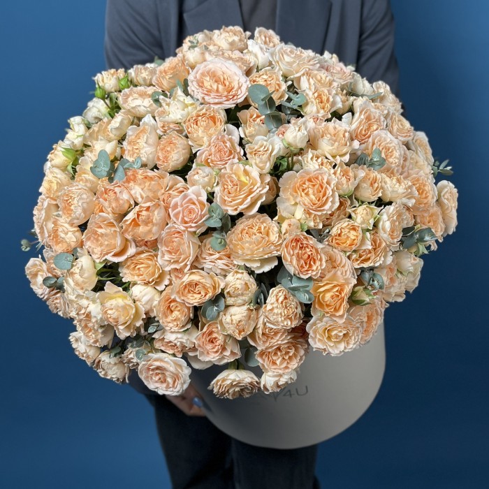 51 кустовая пионовидная роза Минеола в коробке