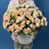 25 кустовых персиковых роз Минеола в коробке