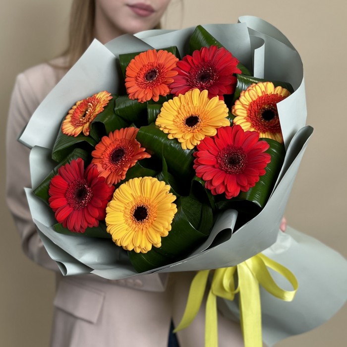 9 гербер микс с аспидистрой