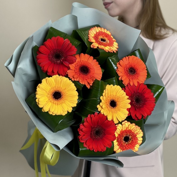 9 гербер микс с аспидистрой